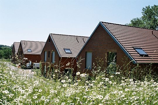 Vier Häuser, davor eine Blumenwiese